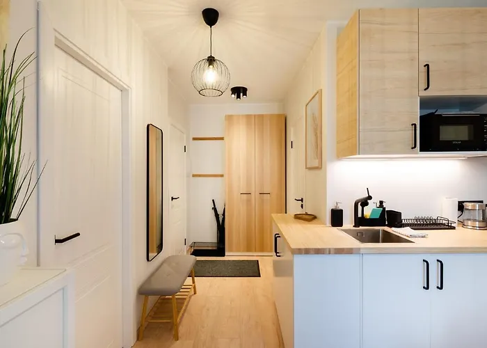 Apartment Old Cozy One Bedroom Riga