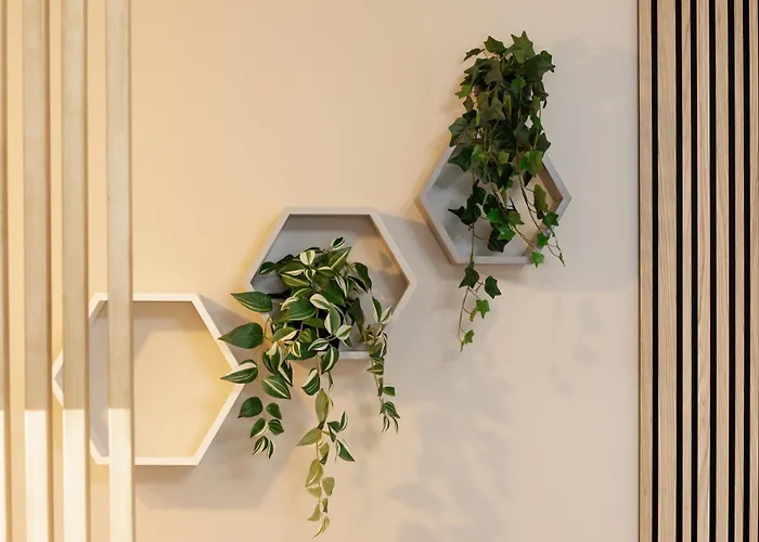 Old Cozy One Bedroom *